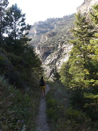 Rear view of man walking on mountain against sky