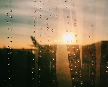 Full frame shot of water drops on glass window