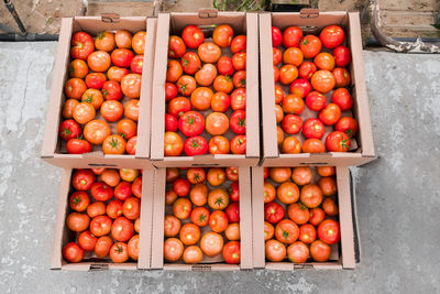 Box of fresh ripe red tomatoes. organic vegetables, small local farm, farming concept. fresh crops