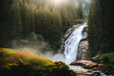 View of waterfall in forest