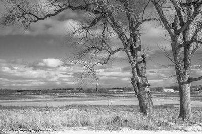 Scenic view of landscape against cloudy sky