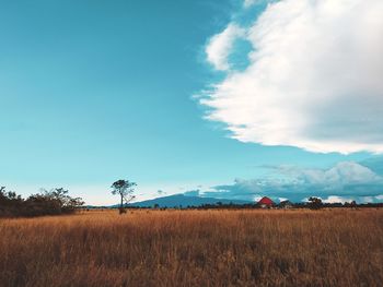 Scenic view of field against sky