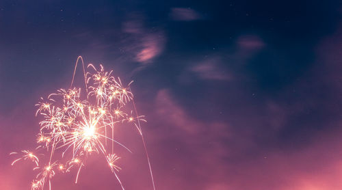 Low angle view of firework display at night