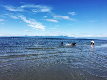 Scenic view of sea against blue sky