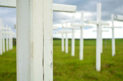 Close-up of grass on field against sky