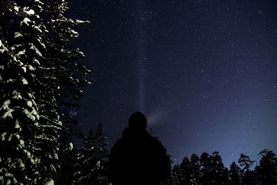 Low angle view of trees at night