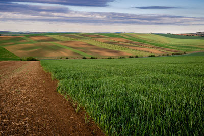 Scenic view of agricultural field against sky, rolling landscape 