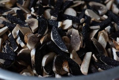 Close-up of mushrooms