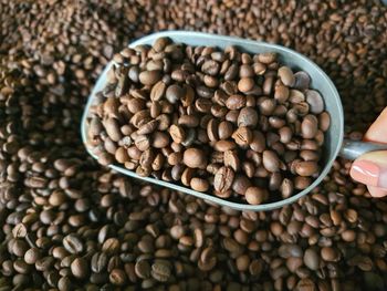 High angle view of coffee beans