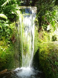 Waterfall amidst trees against sky