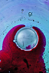 Close-up of water drops on red car