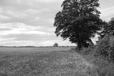 Scenic view of field against cloudy sky