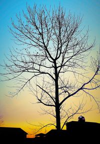 Low angle view of bare trees against sky