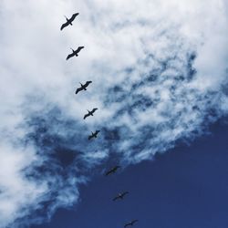 Low angle view on birds flying against cloudy sky