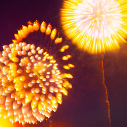 Close-up of illuminated orange flower