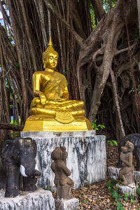 Statue of buddha