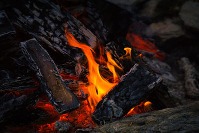 Close-up of bonfire