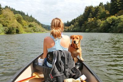 Rear view of woman with dog on boat sailing in river