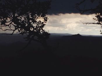 Silhouette of trees on mountain