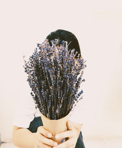 Low angle view of person holding flowering plant against white background