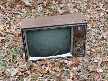 Close-up of abandoned field