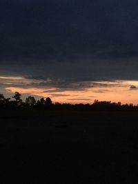 Silhouette of trees at sunset