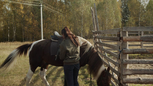 Full length of a horse in the forest