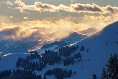 Panoramic view of trees and mountains against sky