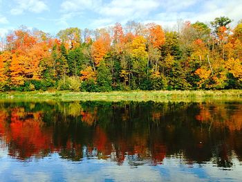 Scenic view of lake with trees in background