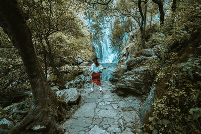 Scenic view of waterfall in forest