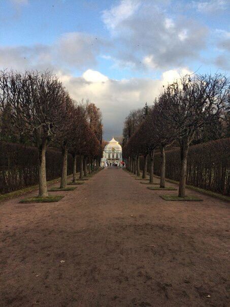 tree, the way forward, sky, diminishing perspective, bare tree, vanishing point, cloud - sky, tranquility, tranquil scene, nature, cloud, built structure, treelined, empty, long, cloudy, architecture, footpath, landscape, outdoors