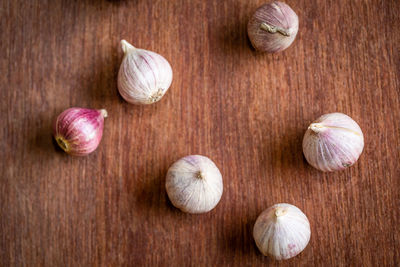 High angle view of eggs on table