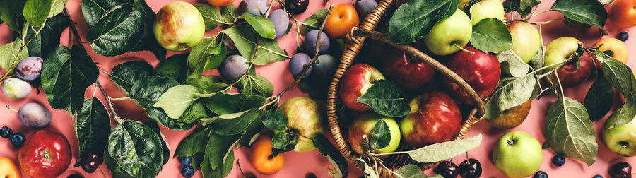 Full frame shot of fruits