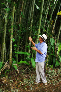 Rear view of a man in a forest