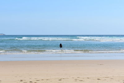 Scenic view of beach against clear sky