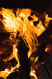 Close-up of campfire at night