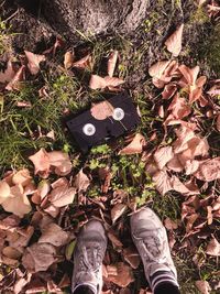 Low section of person standing on dry leaves on field