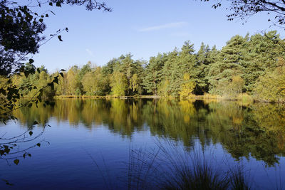 Scenic view of lake in forest against sky
