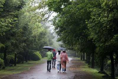 People walking with umbrella on footpath during rainy season at bijarim forest