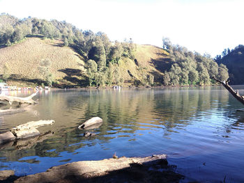 View of birds in lake