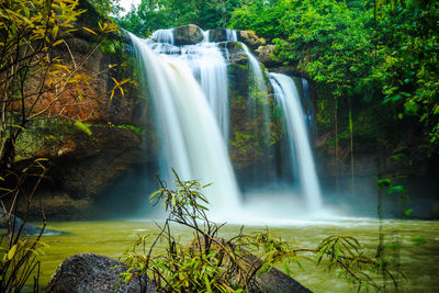 Scenic view of waterfall in forest