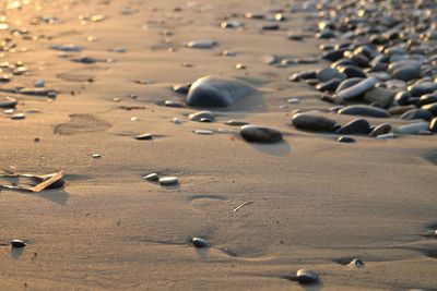 High angle view of stones on beach