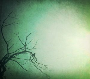 Low angle view of bare trees against sky