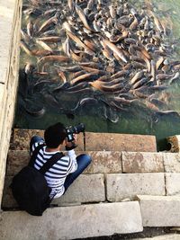 High angle view of man photographing fish swimming in lake