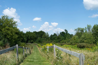 Scenic view of landscape against cloudy sky