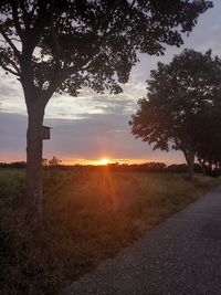 Scenic view of field against sky during sunset