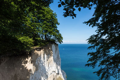 Moens klint on island moen