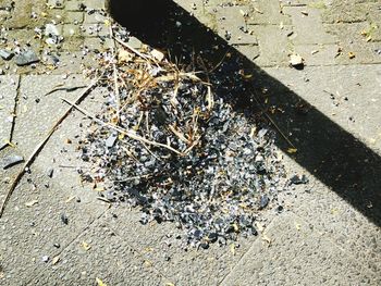 High angle view of road