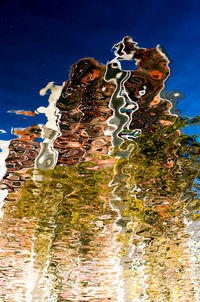 Close-up of tree against sky