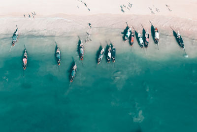 High angle view of people swimming in sea